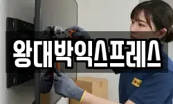 왕대박익스프레스