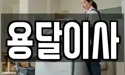 용달이사