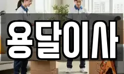 용달이사
