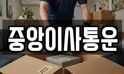 인천 중구 해안동2가 이사,용달이사,포장이사,원룸이사,보관이사