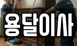 용달이사