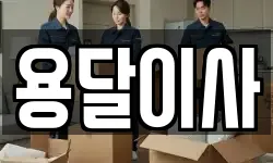 용달이사