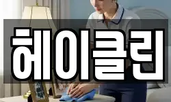 헤이클린