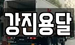 강진용달