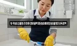 입주청소건물관리미화경비용역모든청소에어컨청소물탱크소독방역