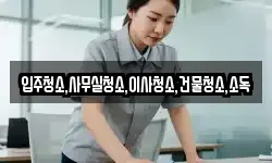 전남 고흥군 동강면 청소,입주청소,사무실청소,에어컨청소