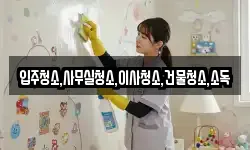 입주청소,사무실청소,이사청소,건물청소,소독