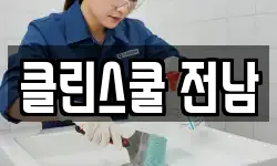 클린스쿨 전남