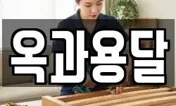 옥과용달
