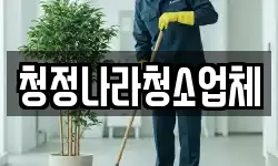 청정나라청소업체