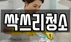 싹쓰리청소