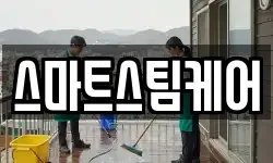 스마트스팀케어