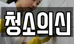 청소의신