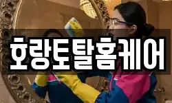 호랑토탈홈케어