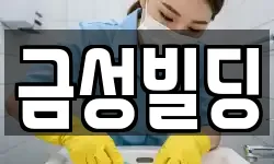 금성빌딩