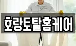 호랑토탈홈케어