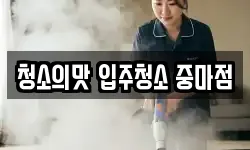 청소의맛 입주청소 중마점