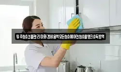 입주청소건물관리미화경비용역모든청소에어컨청소물탱크소독방역