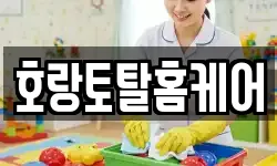 호랑토탈홈케어