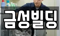 금성빌딩