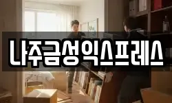 나주금성익스프레스