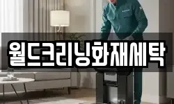 월드크리닝화재세탁