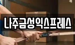 나주금성익스프레스