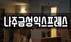나주금성익스프레스