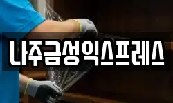 나주금성익스프레스