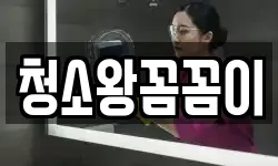청소왕꼼꼼이