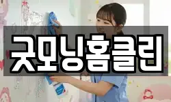 굿모닝홈클린