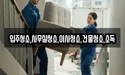 입주청소,사무실청소,이사청소,건물청소,소독