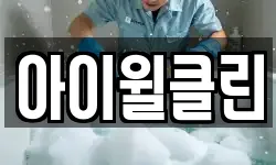 아이윌클린