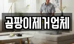 곰팡이제거업체