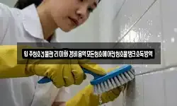 입주청소건물관리미화경비용역모든청소에어컨청소물탱크소독방역
