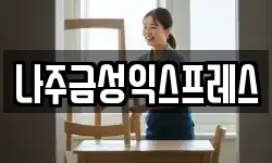나주금성익스프레스