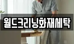 월드크리닝화재세탁