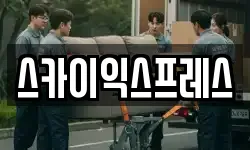 스카이익스프레스