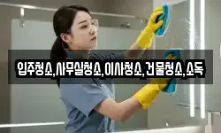 전남 나주시 봉황면 청소,입주청소,사무실청소,에어컨청소