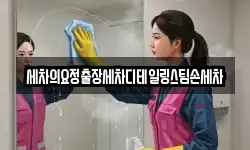 세차의요정출장세차디테일링스팀손세차