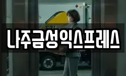 나주금성익스프레스