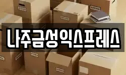 나주금성익스프레스