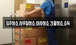 입주청소,사무실청소,이사청소,건물청소,소독