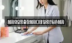 세차의요정출장세차디테일링스팀손세차
