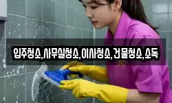 입주청소,사무실청소,이사청소,건물청소,소독