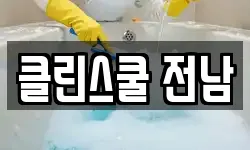 클린스쿨 전남