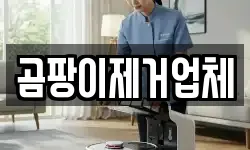 곰팡이제거업체