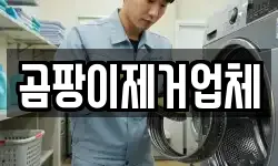 곰팡이제거업체