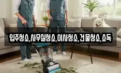 입주청소,사무실청소,이사청소,건물청소,소독