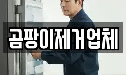 곰팡이제거업체